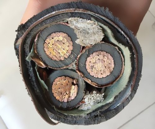  我國(guó)電纜工業(yè)已構(gòu)成類別較完全、規(guī)劃較大